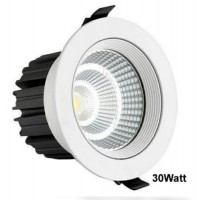 30W LED COB Light