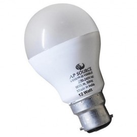 12 Watt LED Bulb