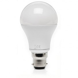 Mini LED Bulbs