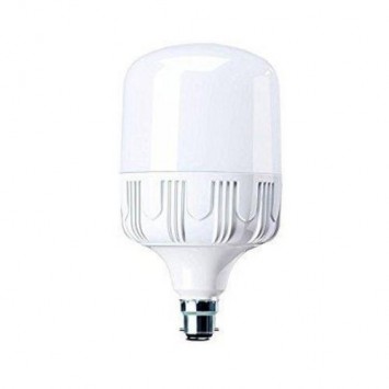 30W LED Dome Bulb