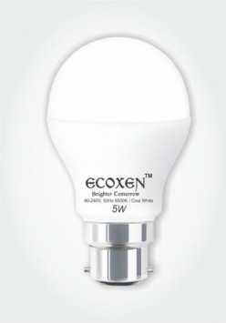 5 Watt LED Bulb