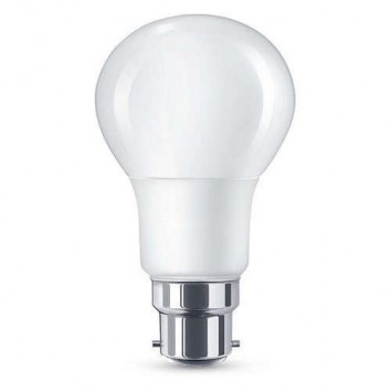 Cool Daylight LED Bulb