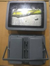 LED Flood Light